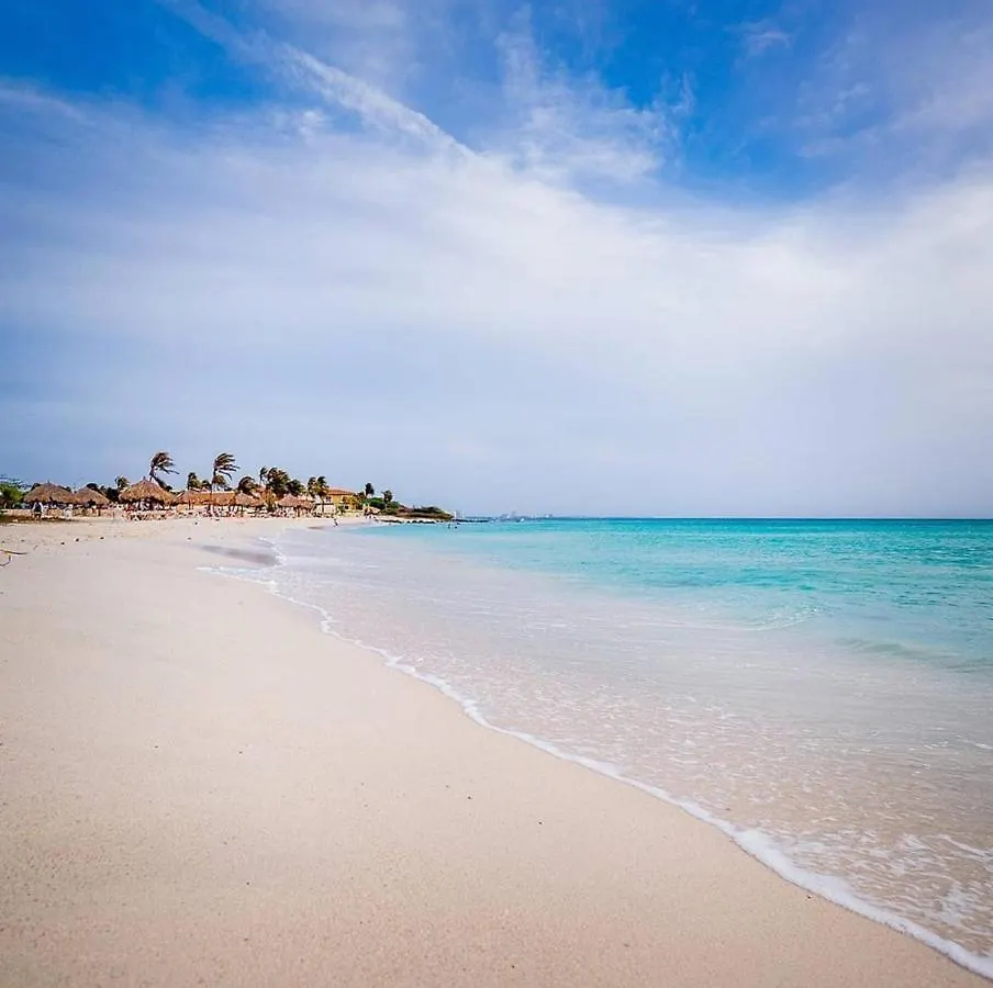 Aruba Smart Apartments Palm Beach Penzion